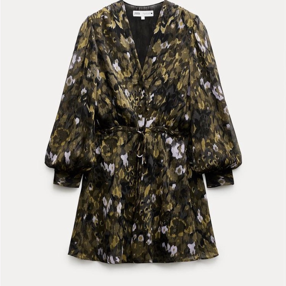 Zara Printed Dress